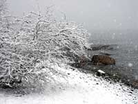 Погода на Ладоге. Зима. Снег.